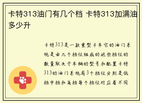 卡特313油门有几个档 卡特313加满油多少升