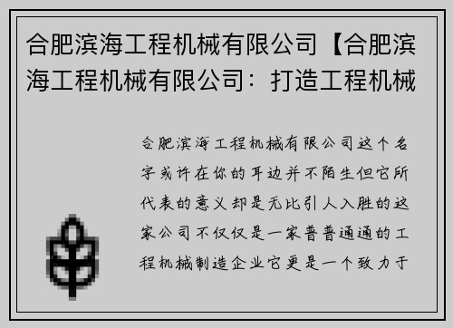 合肥滨海工程机械有限公司【合肥滨海工程机械有限公司：打造工程机械行业新标杆】